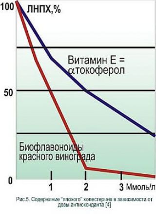 СЕРДЕЧНО-СОСУДИСТАЯ СИСТЕМА